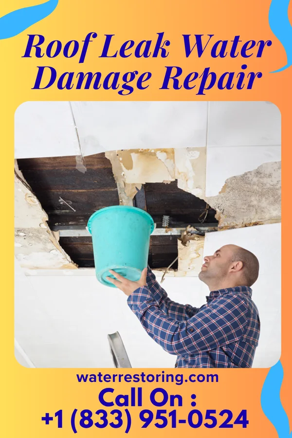 Roof Leak Water Damage Repair in La Rose, IL